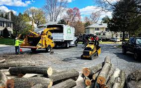 Best Storm Damage Tree Cleanup  in Dublin, VA